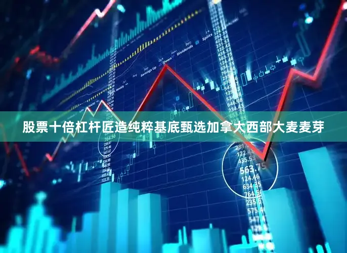股票十倍杠杆匠造纯粹基底甄选加拿大西部大麦麦芽