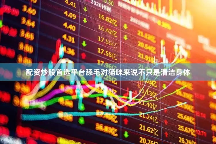 配资炒股首选平台舔毛对猫咪来说不只是清洁身体