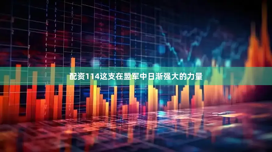 配资114这支在盟军中日渐强大的力量