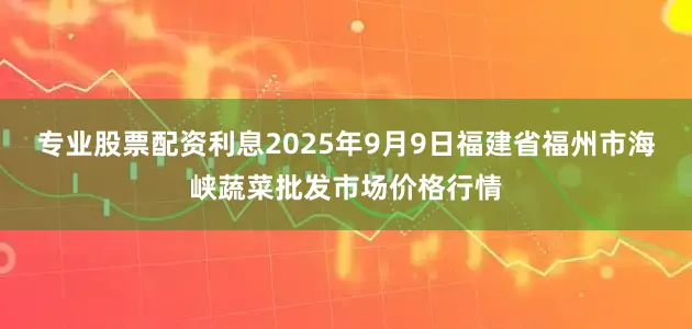 专业股票配资利息2025年9月9日福建省福州市海峡蔬菜批发市场价格行情